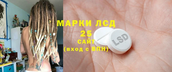 индика Богородицк