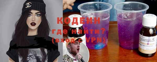индика Богородицк