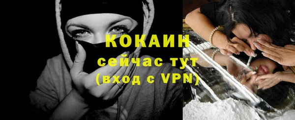 индика Богородицк