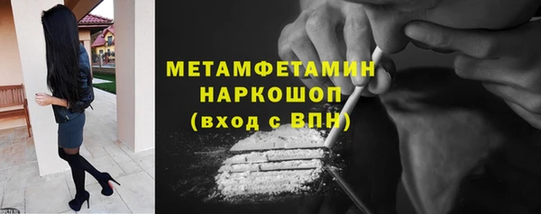 индика Богородицк