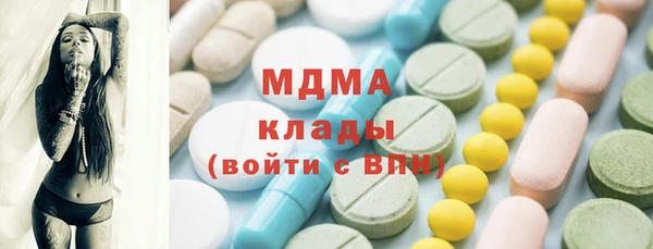 индика Богородицк