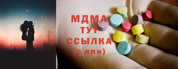 индика Богородицк