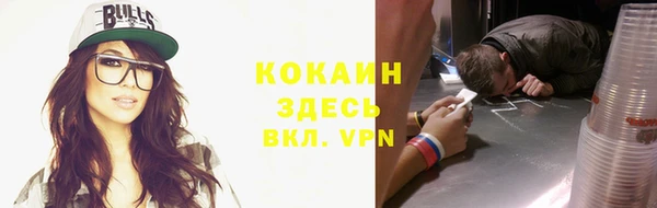 индика Богородицк