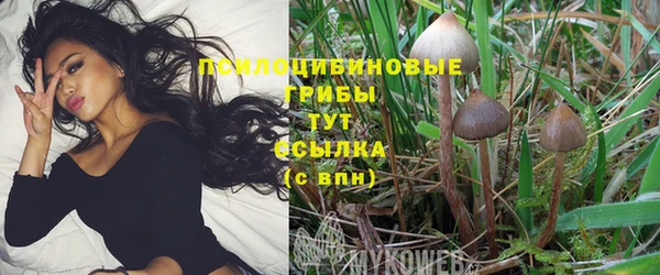 индика Богородицк