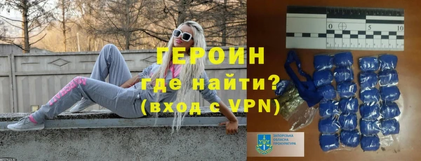 индика Богородицк