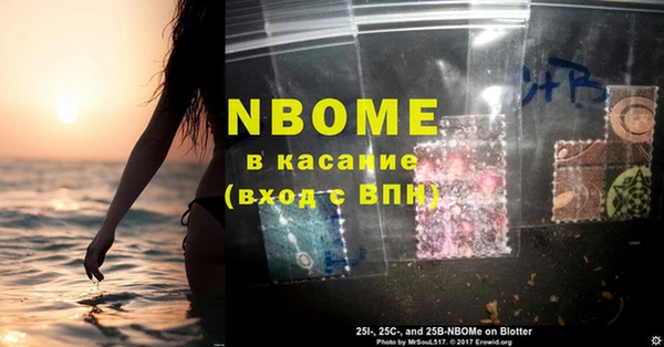 индика Богородицк