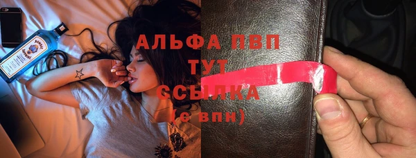 индика Богородицк