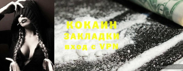 индика Богородицк