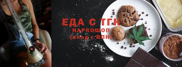 индика Богородицк