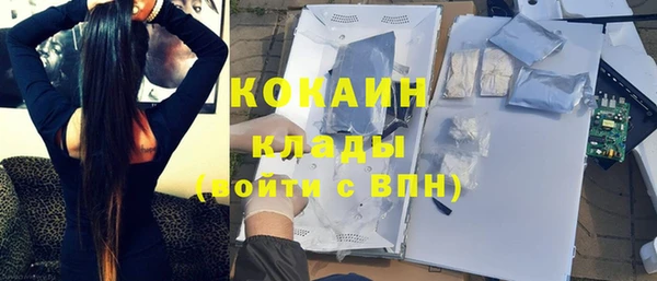 индика Богородицк