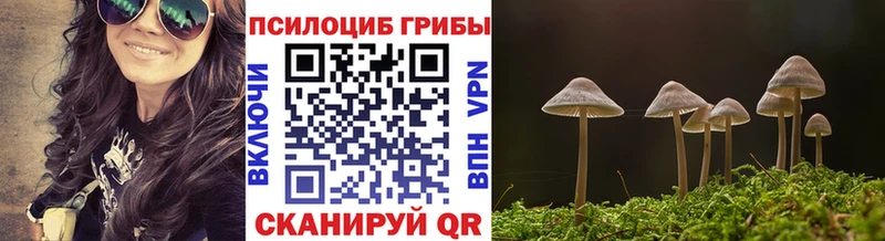 Галлюциногенные грибы мухоморы  где купить наркоту  Цоци-Юрт 