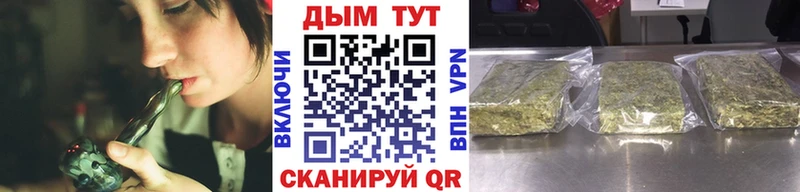 дарнет шоп  Цоци-Юрт  Бошки Шишки VHQ 